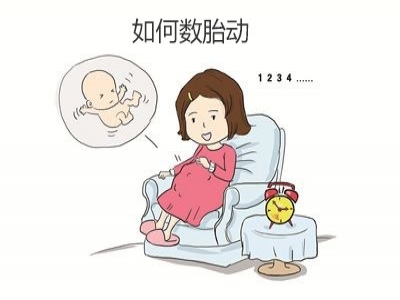 胎兒好不好，胎動全知道，數(shù)胎動的重要性